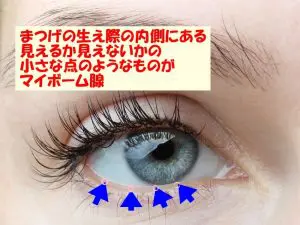 目元やまつ毛に残るメイク汚れがしつこい 花粉も落とせる洗い方は コスメとメイクの研究室 すこみみlabo